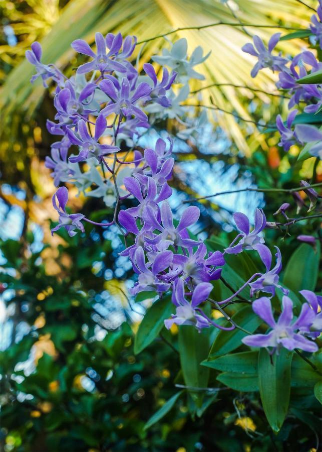 Plantation Inn Weligama Kültér fotó